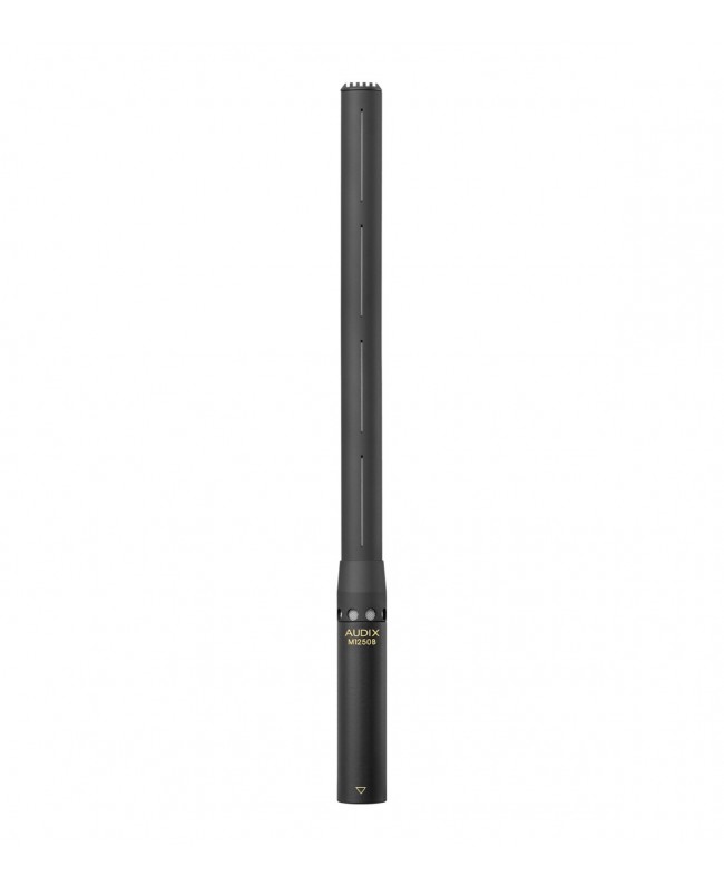 AUDIX M1250BS Microfoni a condensatore con diaframma piccolo