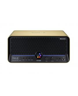 MOOER F40I LI GOLD Gitarren Combos
