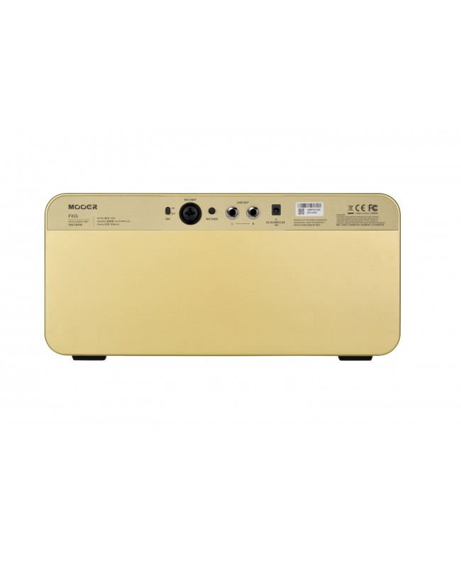 MOOER F40I GOLD Combo per chitarra