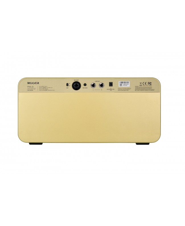 MOOER F40I LI GOLD Combo per chitarra