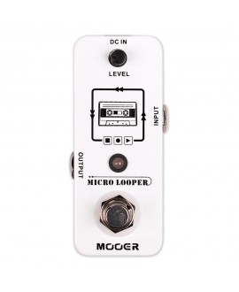 MOOER MICRO LOOPER RECORDING Pedaliere Multieffetto