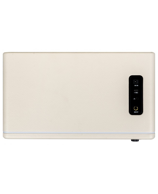 MOOER HORNET 30I WHITE Combo per chitarra