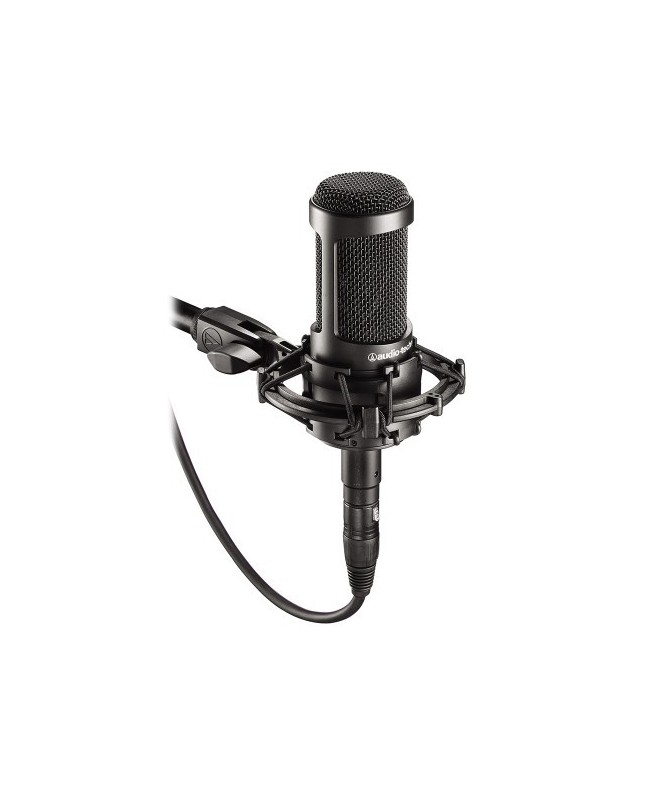 Audio-Technica AT2035 Large Diaphragm Microphones