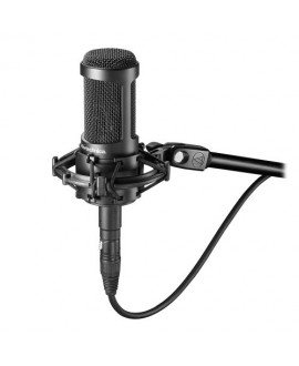 Audio-Technica AT2050 Microfoni a condensatore diaframma largo