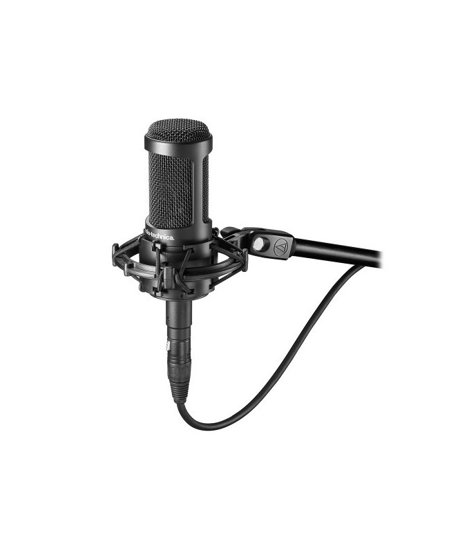 Audio-Technica AT2050 Large Diaphragm Microphones