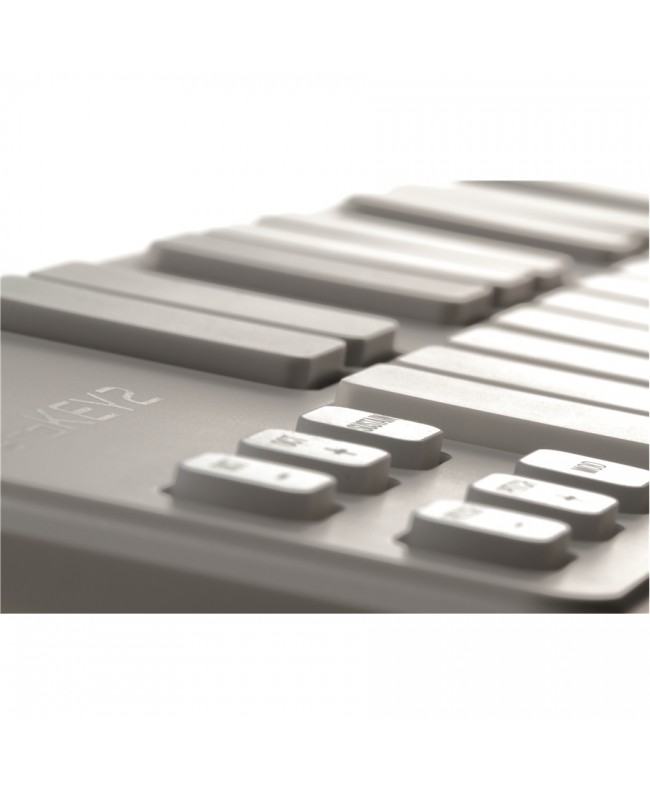 Korg nanoKEY2 DAW Controllers