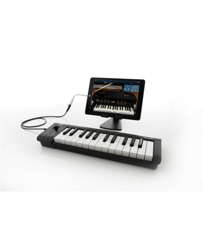 Korg microKey 25 Master Keyboards MIDI