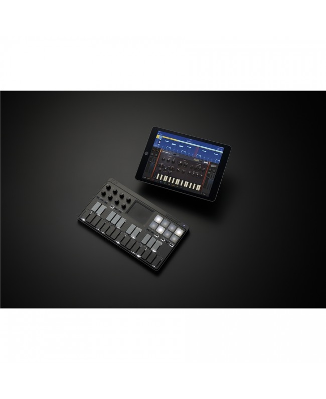 Korg NanoKey Studio