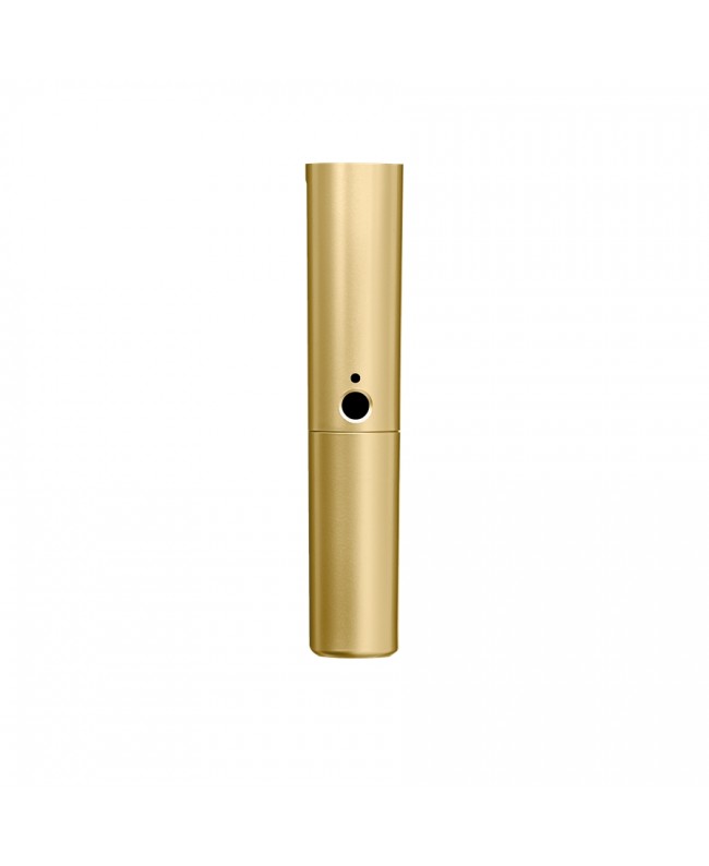 Shure WA713-GLD Corpo oro BLX2 con capsula SM58 e Beta58A Miscellaneous