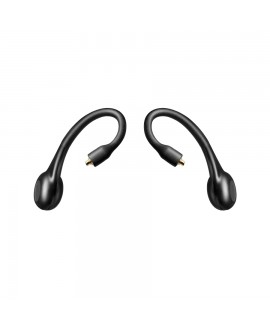 Shure RMCE-TW2 Sistema Bluetooth 5 per auricolari SE e Aonic