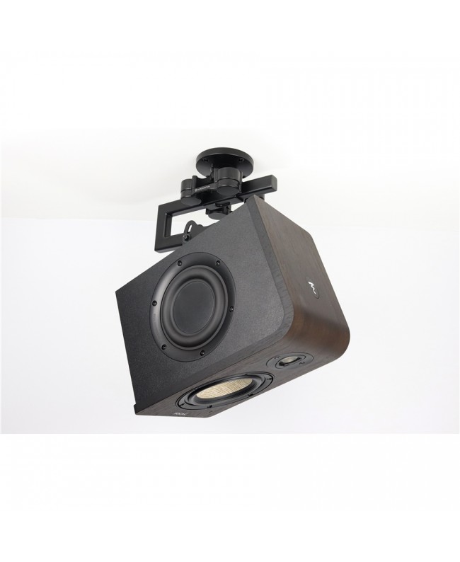 IsoAcoustics V120 C-Bracket Wandhalterungen