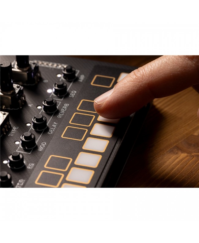 Korg NUTEKT NTS-1 MKII Synthesizer