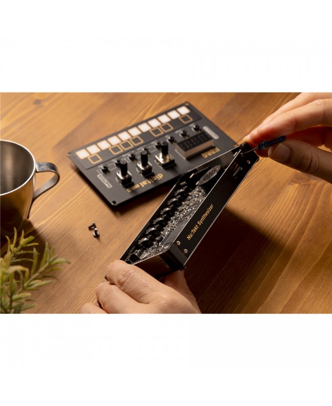 Korg NUTEKT NTS-1 MKII Synthesizer