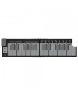 Korg NANOKEY-FD WH MIDI Masterkeyboards