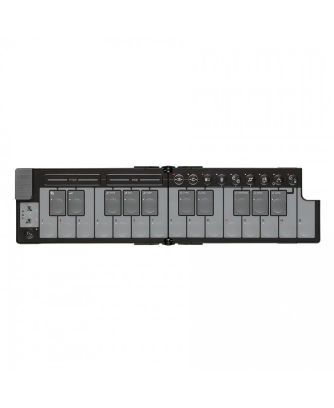 Korg NANOKEY-FD BK MIDI Master Keyboards