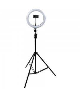 Gator Frameworks GFW-RINGLIGHTTRIPD Ring Light con treppiede e supporto per smartphone Supporti per Smartphone