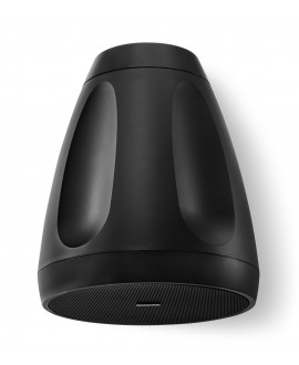 Shure MXP 6B Hängende Lautsprecher