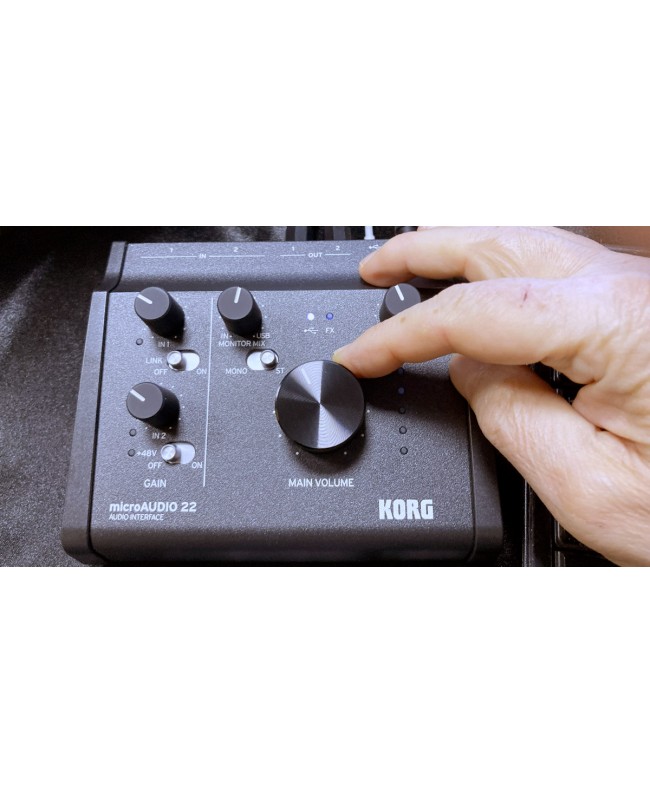Korg microAUDIO 22 Interfacce Audio USB
