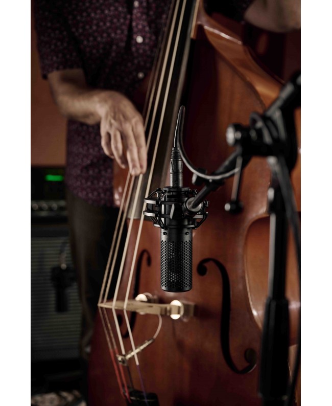 Shure KSM44MP Großmembran-Mikrofone