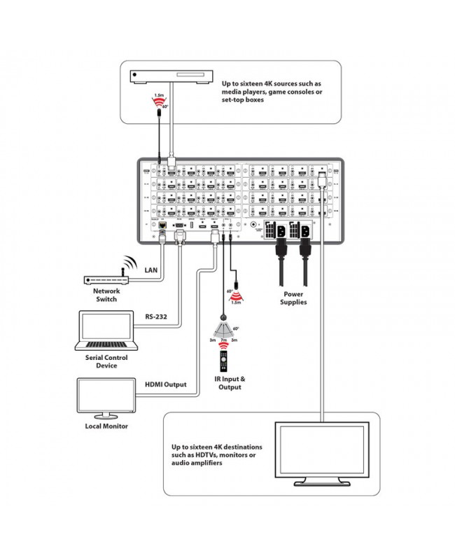 CYP MODX-1616