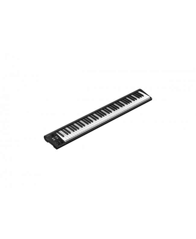Icon ARTIST 88 Master Keyboards MIDI