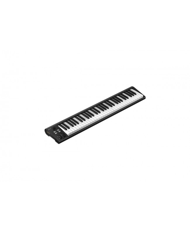 Icon ARTIST 61 MIDI Master Keyboards