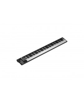 Icon ARTIST 88X Master Keyboards MIDI
