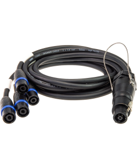 KLOTZ SPT8F-T4MB-Y060 Line Array Fanout