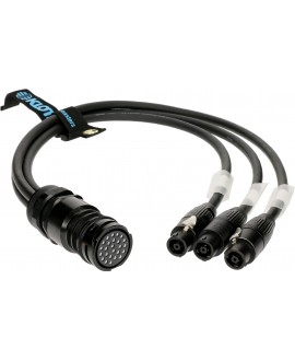 KLOTZ SVF-03T8F-01.0 Line Array Fanout