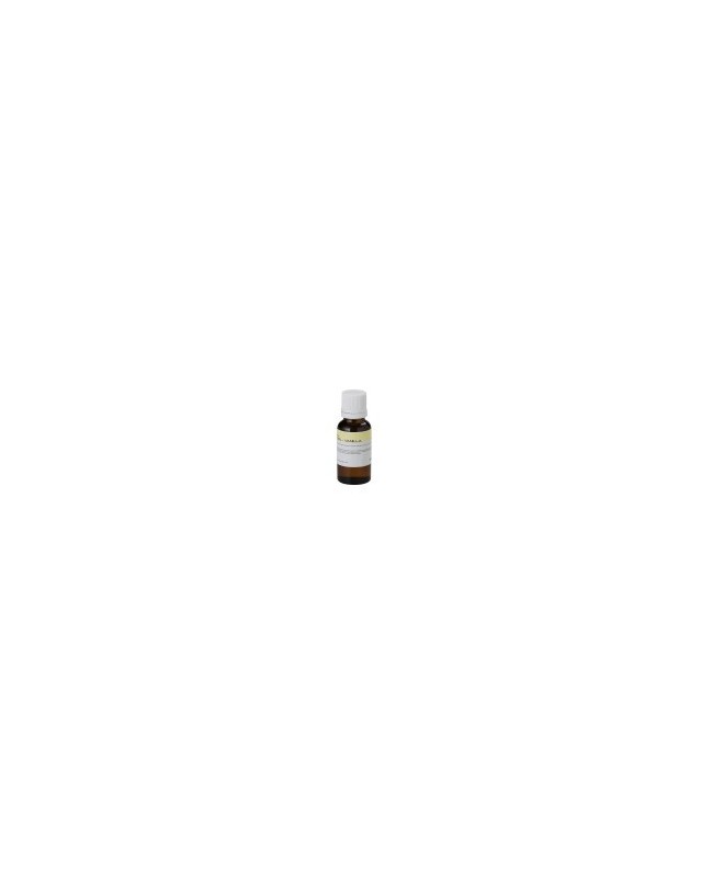 CENTOLIGHT FF20ML-VANILA Nebelflüssigkeiten