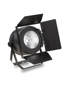 CENTOLIGHT SCENIC W2001 LED PAR