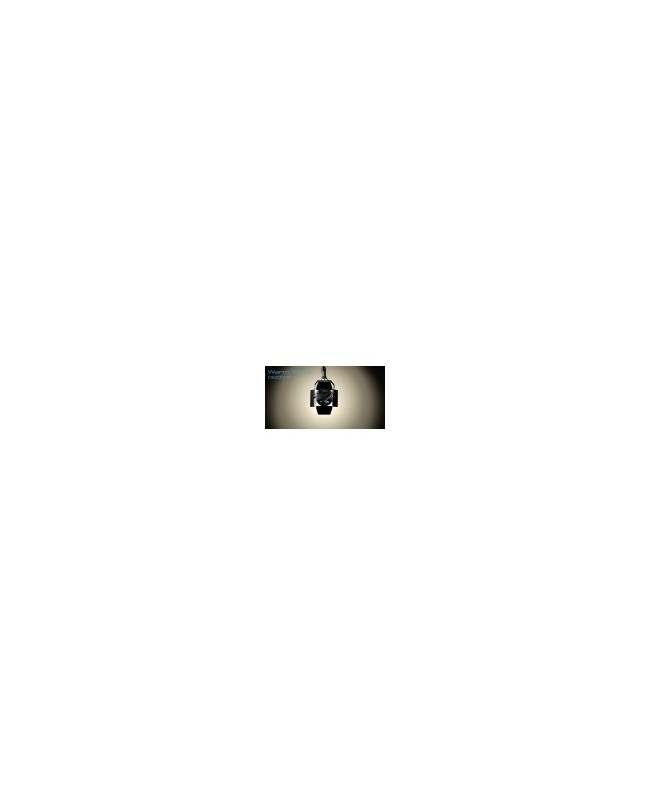 CENTOLIGHT SCENIC W2001 PAR LED