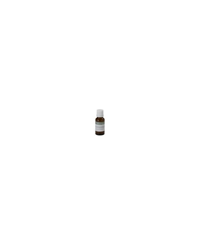 CENTOLIGHT FF20ML-APPLE Nebelflüssigkeiten