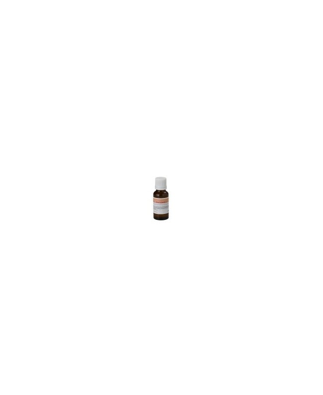 CENTOLIGHT FF20ML-REDENERGY Nebelflüssigkeiten