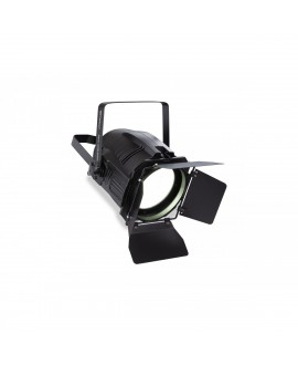 CENTOLIGHT SCENIC COB-200W LED PAR