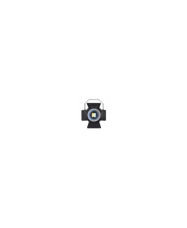 CENTOLIGHT SCENIC 100W WW-CW PAR LED