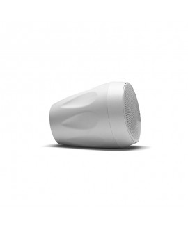 LEM Commercial OMNImini5 100 V Outdoor speakers