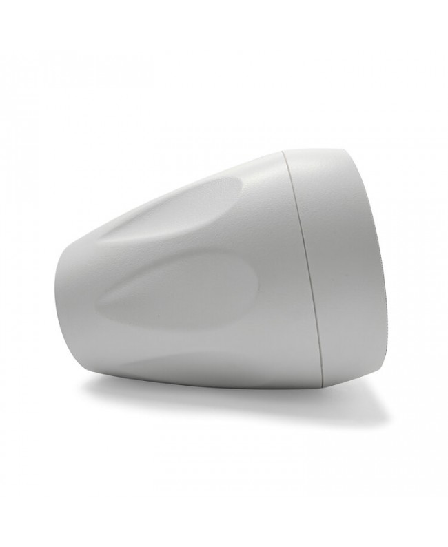 LEM Commercial OMNImini5 100 V Outdoor speakers