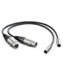 Blackmagic Design Video Assist Mini XLR Cables Accessori per cineprese digitali