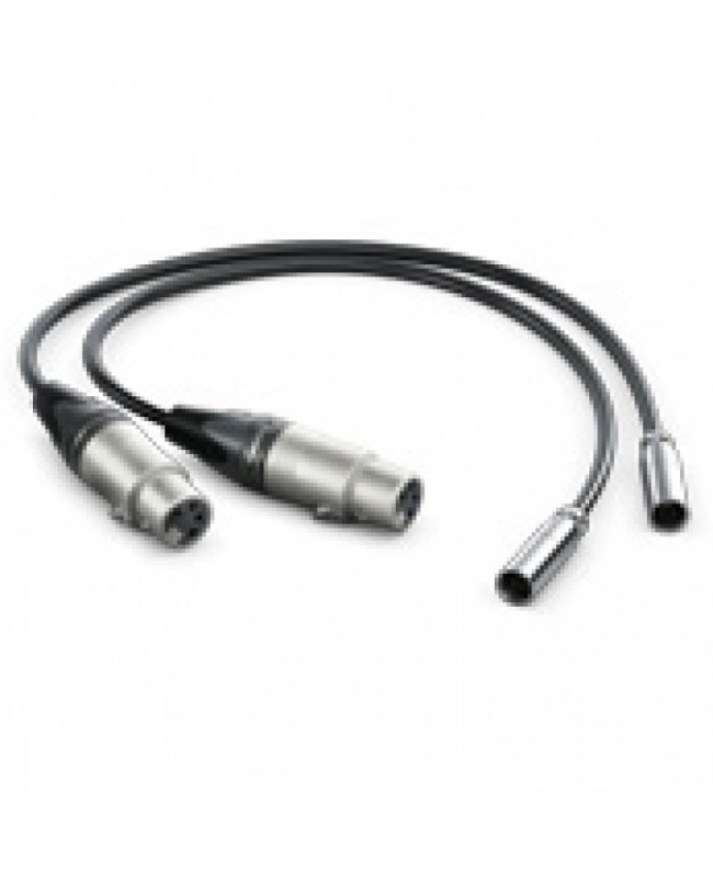 Blackmagic Design Video Assist Mini XLR Cables Zubehör für Digitalfilmkameras