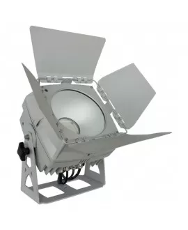 Briteq LDP-COBWASH 150TC PAR LED