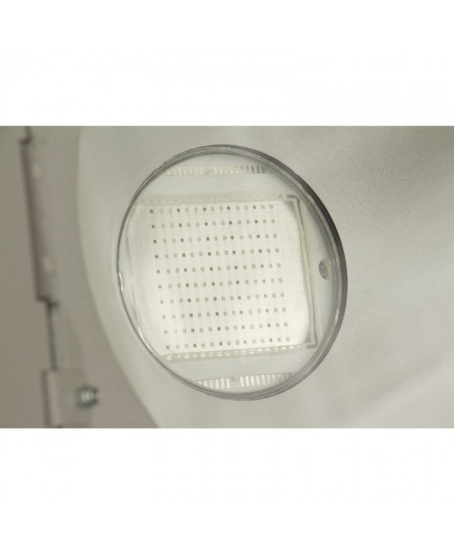 Briteq LDP-COBWASH 150TC LED PAR