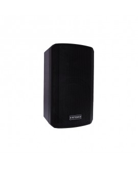 Definitive INPULSE 10 BA DSP Casse Attive