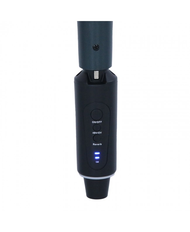 Definitive PLUG 120R 2.4G Sistema wireless con trasmettitore palmare