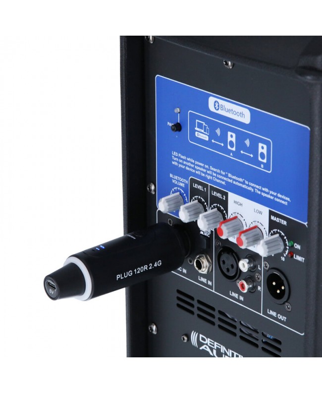 Definitive PLUG 120R 2.4G Drahtlossystem mit Handsender