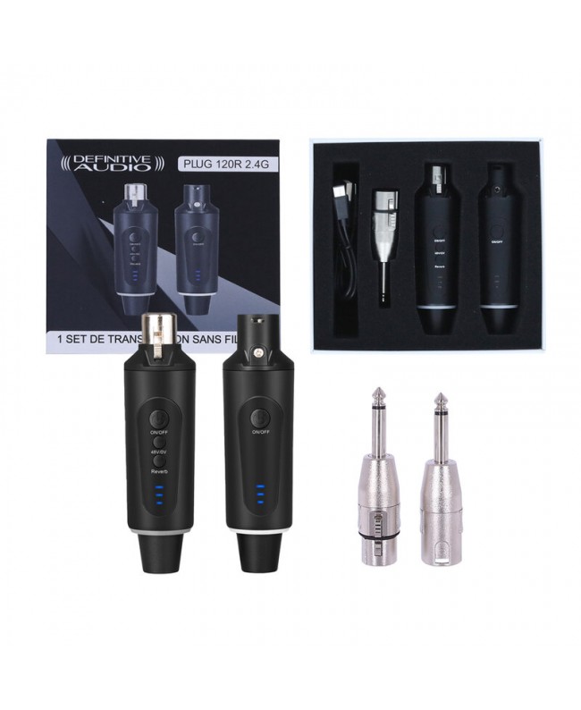 Definitive PLUG 120R 2.4G Handheld Wireless Systems