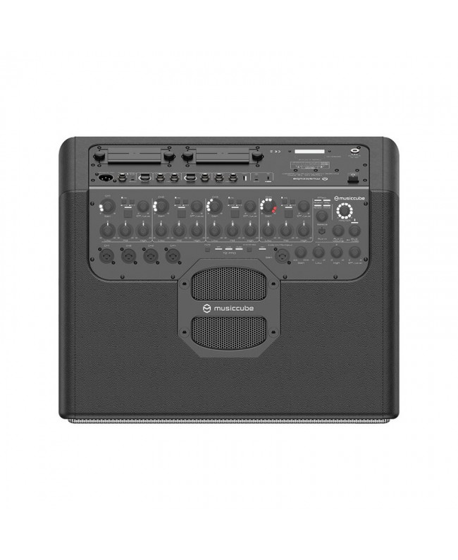 MUSICCUBE T2 Pro - Black Battery powered PA