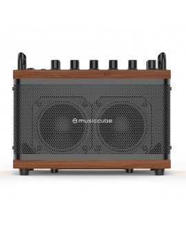 MUSICCUBE Tiny Box D2 - Oak brown Battery powered PA