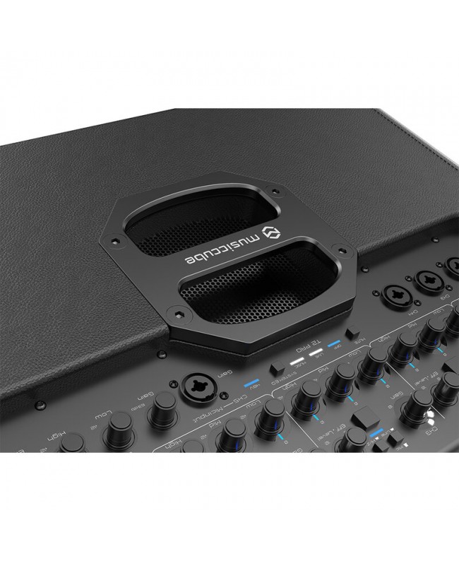 MUSICCUBE T2 Pro - Black Battery powered PA