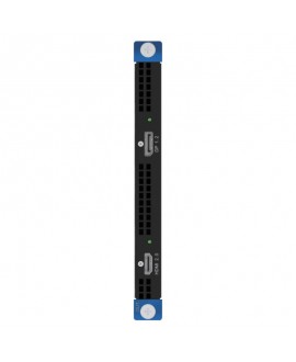 PIXELHUE X_1xHDMI2.0+1xDP1.2 Output Card Moduli funzionali